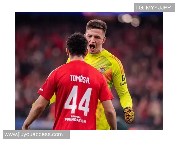 西甲激战:多特蒙德与本菲卡2-2平局绝杀瞬间震撼全场精彩回顾 西甲激战:多特蒙德与本菲卡2-2平局绝杀瞬间震撼全场精彩回顾